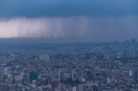 雨